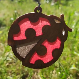 Attrape soleil Coccinelle